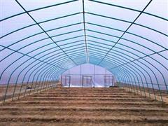 農業養(yǎng)殖棚-新型養(yǎng)殖大棚